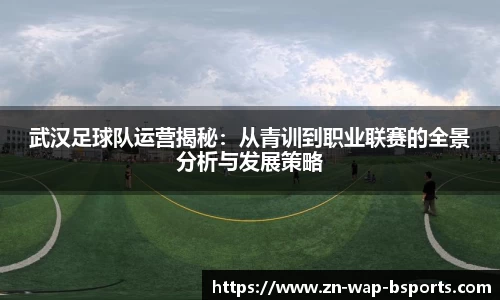 武汉足球队运营揭秘:从青训到职业联赛的全景分析与发展策略